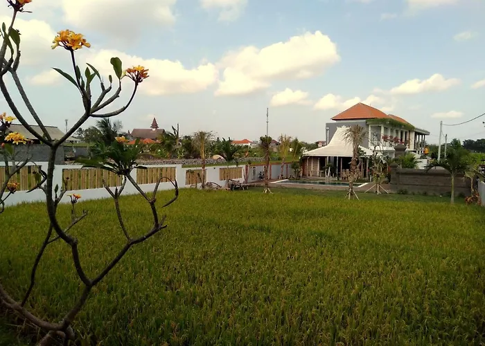 Padi Padi Luxury 3* Canggu